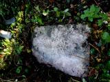 image of grave number 790572
